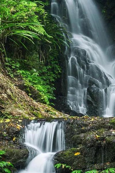 Lamington National Park